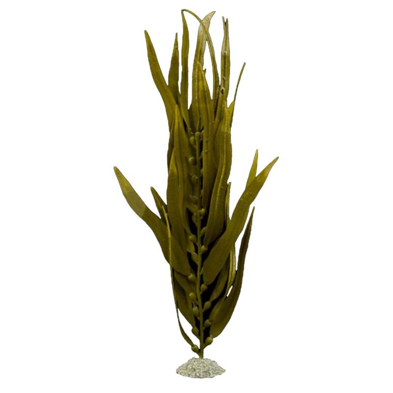 Aqua Della plante artificielle kelp brun L