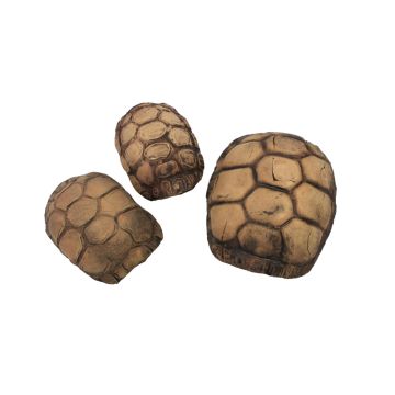 Ceramic Nature Grotte Tortue Xs 10x7x5cm
