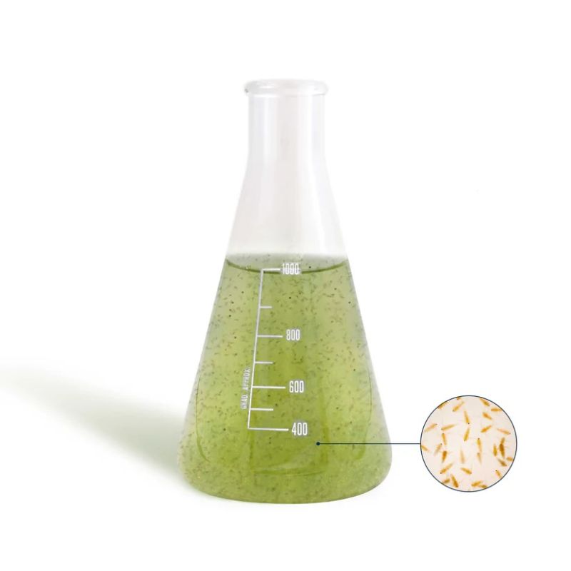 BEA RESOLVE 100ml