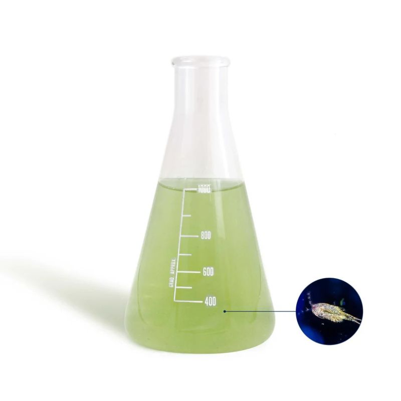 BEA RESOLVE 100ml