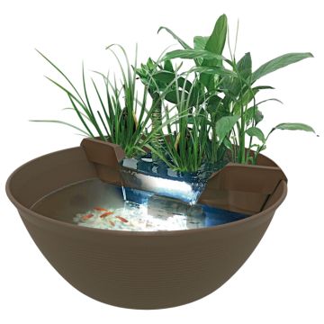 Superfish Mini Pond Marron