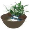 Superfish Mini Pond Marron