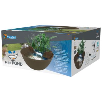 Superfish Mini Pond Marron
