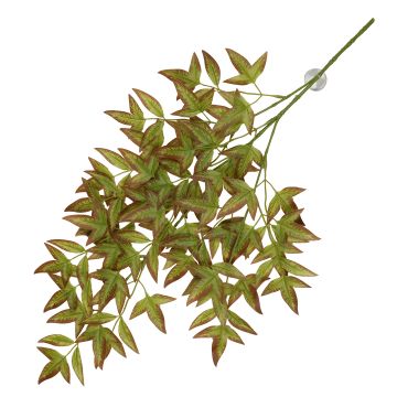 Terra Della Plante suspendue Nandina vert 65x35x1,5cm