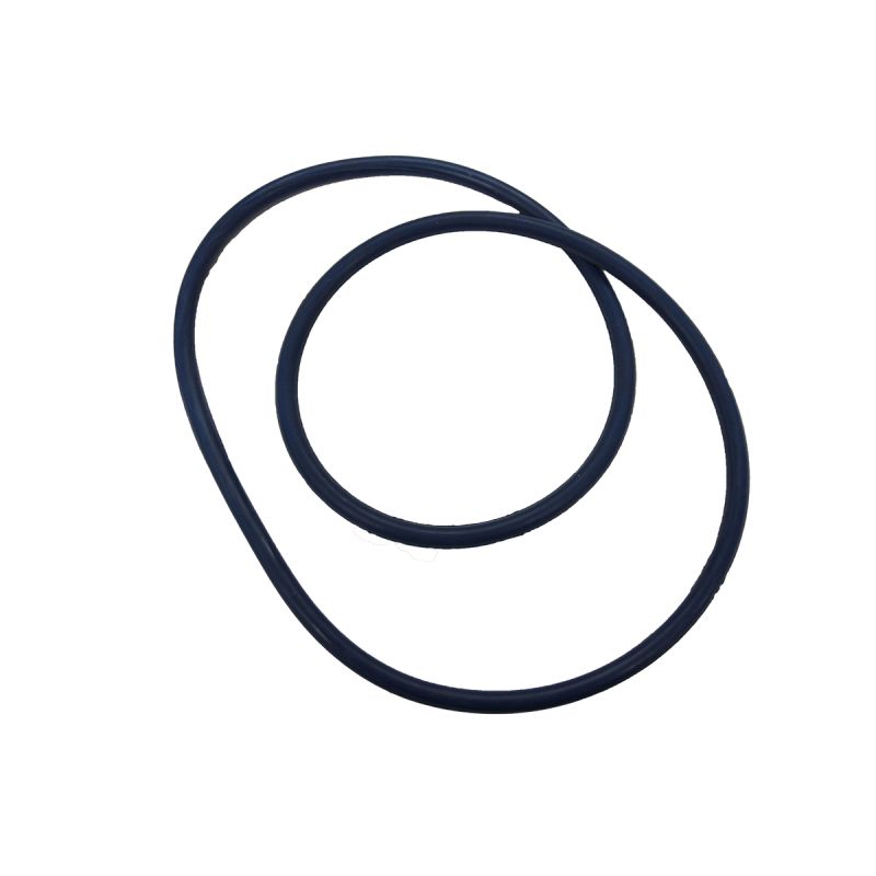 oase joint torique cuve filtoclear 5/13/19/31000