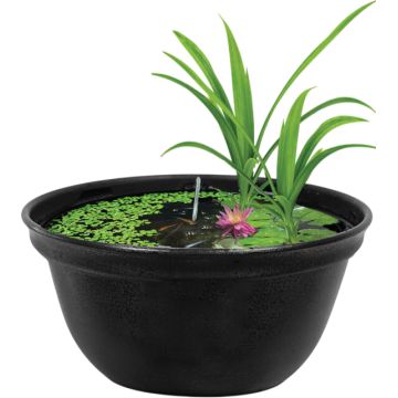 Superfish Medaka Bowl 420