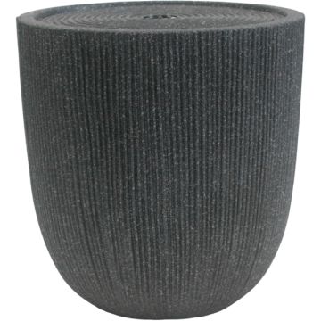 Superfish Fontaine Palmero