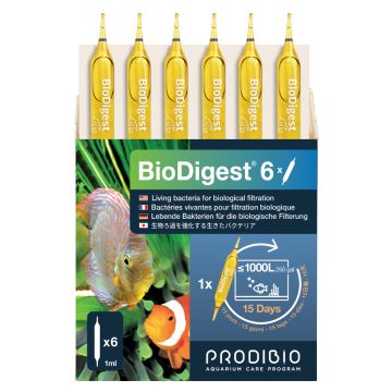 Prodibio BioDigest 12 ampoules