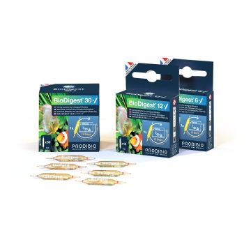 Prodibio BioDigest 6 ampoules