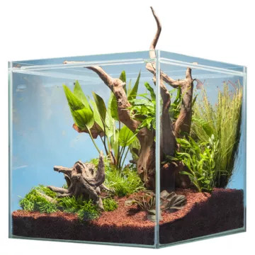 Sera Scaper Cube 48 l