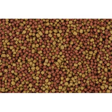 My Koi Azur 3mm Mix 2 granules seau 25L-10kg