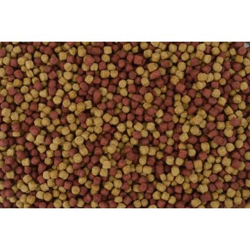 My Koi Azur 6mm Mix 2 granules seau 10L-4kg