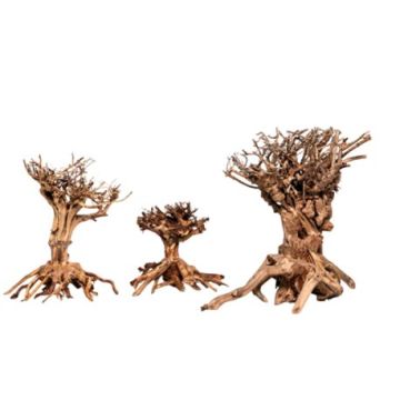 Décor bois naturel- Mammoth Bonsai L  - 30 x 35cm
