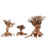 Décor bois naturel- Mammoth Bonsai L  - 30 x 35cm