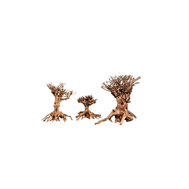Décor bois naturel - Mammoth Bonsai S  - 15 x 20cm
