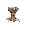 Décor bois naturel - Mammoth Bonsai M  - 20 x 25cm