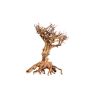 Décor bois naturel- Mammoth Bonsai L  - 30 x 35cm