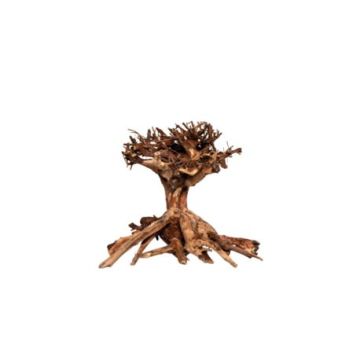 Décor bois naturel - Mammoth Bonsai S  - 15 x 20cm