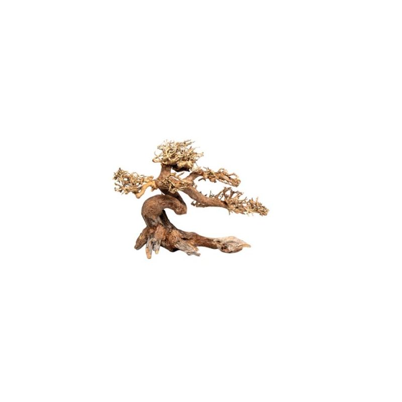 Décor bois naturel - Claw Bonsai XS - 18x 25cm