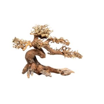 Décor bois naturel - Claw Bonsai M - 25x 40cm