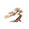 Décor bois naturel - Claw Bonsai M - 25x 40cm