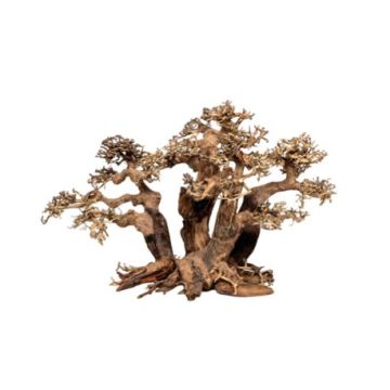 Artisanat en bois flotté - Forest Bonsai M (40x20x25cm) 