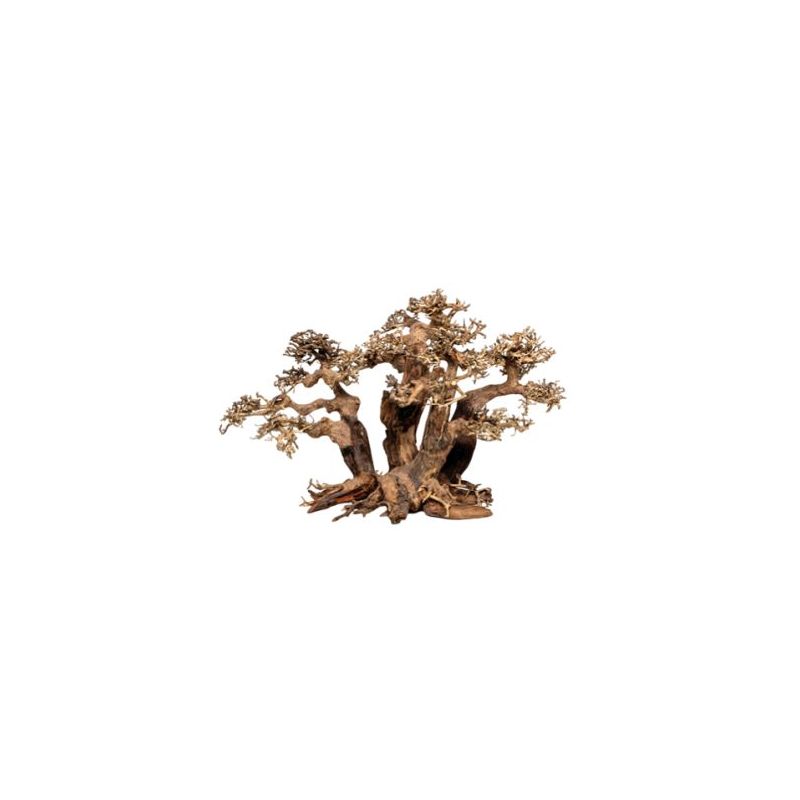 Artisanat en bois flotté - Forest Bonsai M (40x20x25cm) 