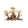 Artisanat en bois flotté - Forest Bonsai M (40x20x25cm) 