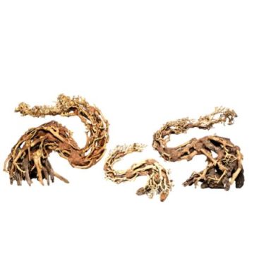 Artisanat en bois flotté - Dragon Bonsai L - 40 X 30cm
