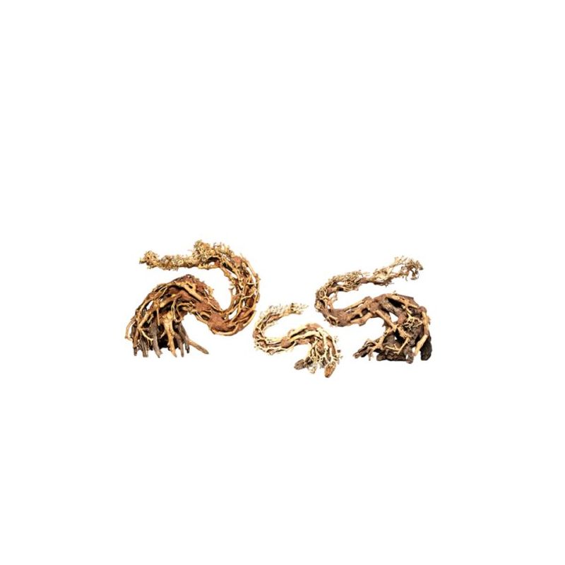 Artisanat en bois flotté - Dragon Bonsai L - 40 X 30cm