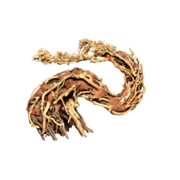 Artisanat en bois flotté - Dragon Bonsai M - 18 X 30cm