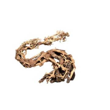 Artisanat en bois flotté - Dragon Bonsai M - 18 X 30cm