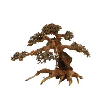 Artisanat en bois flotté - Aqua Bonsai L (40x30cm)
