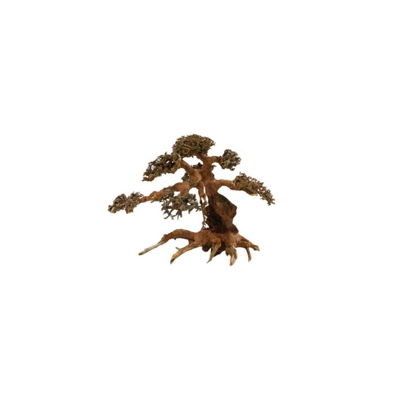 Artisanat en bois flotté - Aqua Bonsai L (40x30cm)