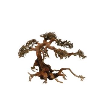 Artisanat en bois flotté - Aqua Bonsai XL (70x50cm)