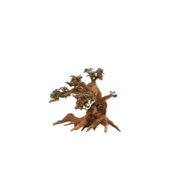 Artisanat en bois flotté - Aqua Bonsai L (40x30cm)