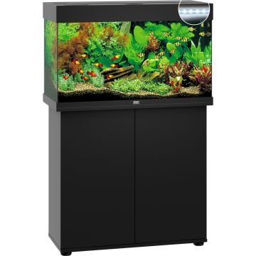 Juwel Rio 125