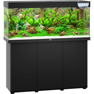 Juwel Rio 240