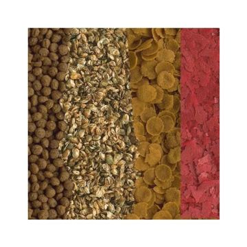 Tetra Goldfish Menu 250ml - 62gr