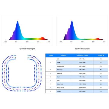 Maxspect Ethereal Infinite E8-230