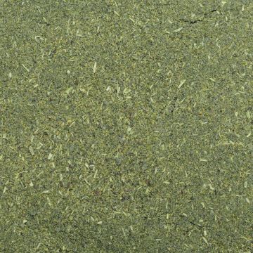 Dennerle Shrimp King Atyopsis 35g