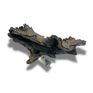 Aquatic nature Decor Forest n° 25