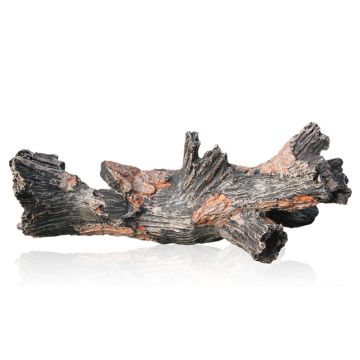 Aquatic nature Decor Forest n° 25