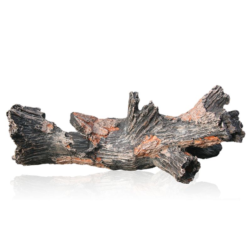 Aquatic nature Decor Forest n° 25