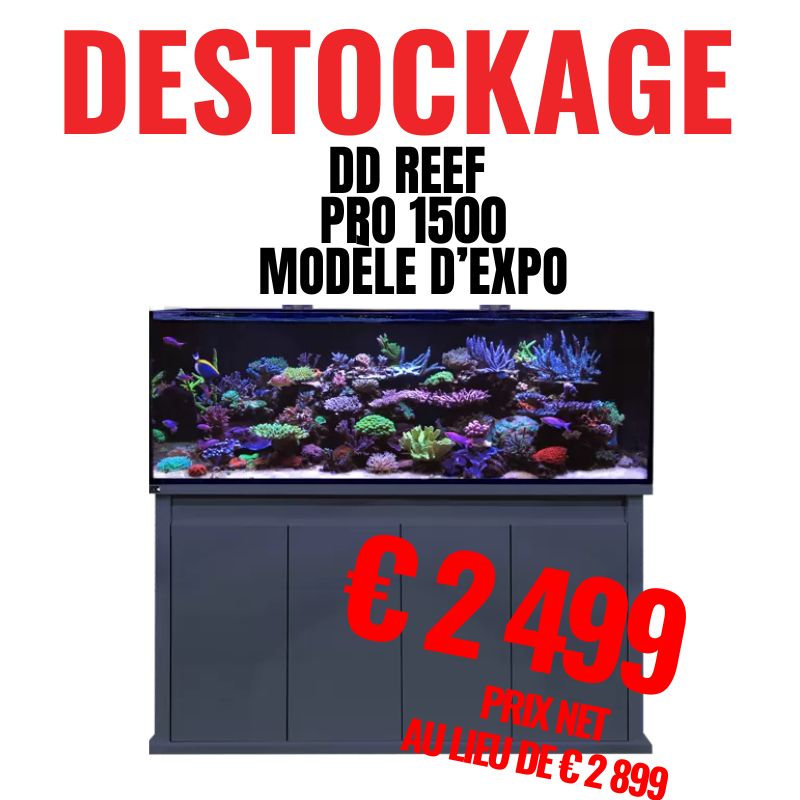 DD Reef Pro 1500 Ultra Gloss Anthracite – Modèle d'expo