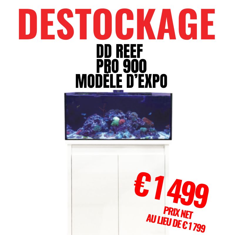 DD Reef Pro 900 Ultra Gloss White – Modèle d'expo