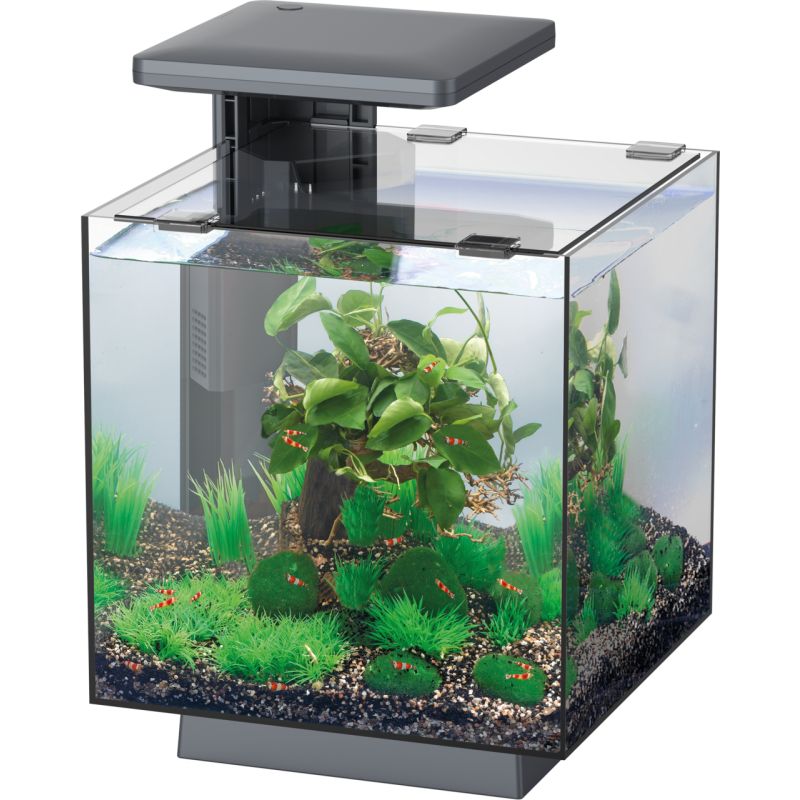 Superfish Qubiq 15
