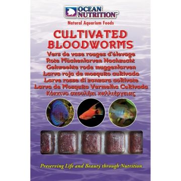 Ocean Nutrition surgelé Cultivated Bloodworms 100gr