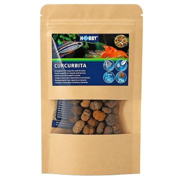 Hobby curcurbita (x25 pièces)