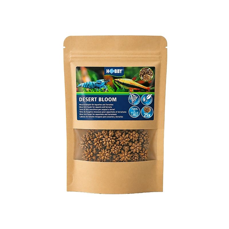 Hobby Desert Bloom 25 pièces